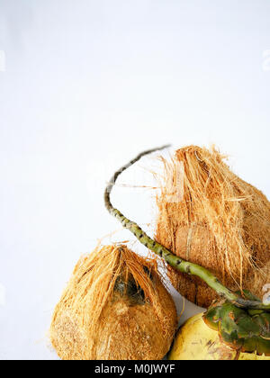 coconuts shell isolated on white background Stock Photo