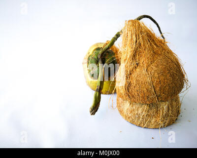 coconuts shell isolated on white background Stock Photo