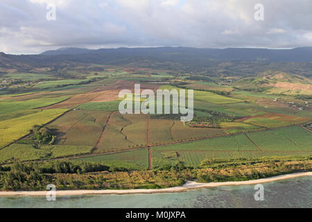 Agricultural fields by the lagoon by the underwater waterfall at the Le Morne Brabant peninsula, at the extreme south-western tip, Riviere Noire Distr Stock Photo