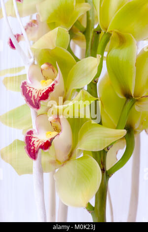 set up of a wedding table decorated with flowers Stock Photo
