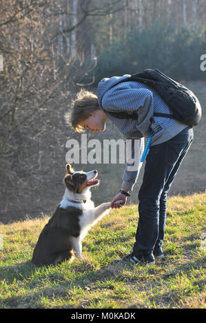 Boy and his dog playing on green grass of meadow, six months old australian shepherd puppy giving a paw, shallow depht of field. Stock Photo