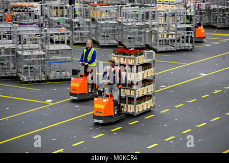 Mini-trucks hauling wagons with boxes of plants and flowers ready for shipment in a warehouse, Royal FloraHolland, Aaalsmeer, Netherlands Stock Photo