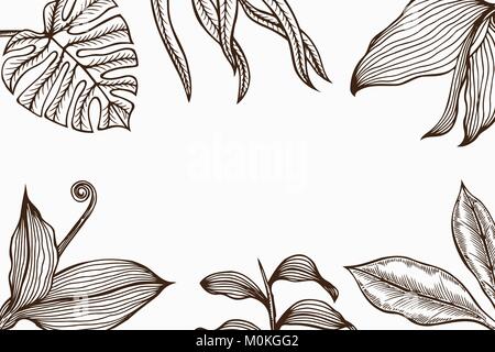 Square poster with leaves grass. Vector vintage engraving illustration. Isolated on white background. Stock Vector