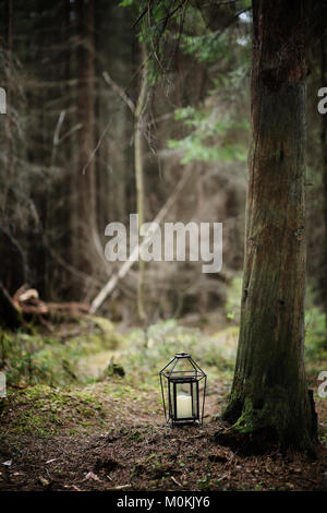 Crystal ball. A magical accessory in the woods on the stump. Rit Stock Photo