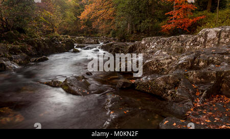River with small waterfall, rocks and trees in autumn colours at Betws-y-Coed in North Wales Stock Photo