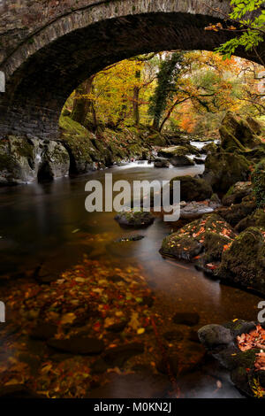 River flowing under old stone arch bridge in Autumn at Betws-y-Coed, North Wales Stock Photo