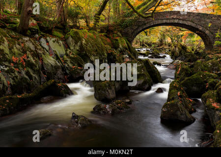 River flowing under old stone arch bridge past moss covered rocks with trees in autumn colours Stock Photo