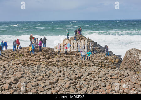 The Giant's Causeway is an area of about 40,000 interlocking basalt columns, the result of an ancient volcanic eruption. It is located in County Antri Stock Photo
