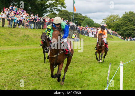 Juvenile horse race as part of Ballabuidhe Races, Dunmanway, County Cork, Ireland. Stock Photo