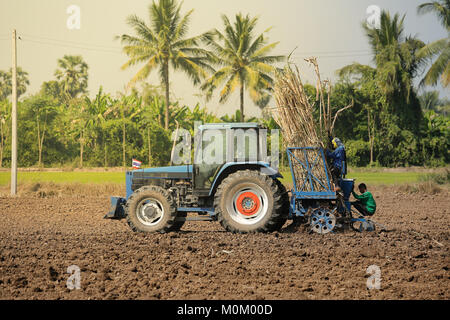 Machine sugar cane in tropical climate. Stock Photo