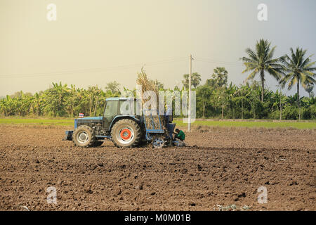 Machine sugar cane in tropical climate. Stock Photo