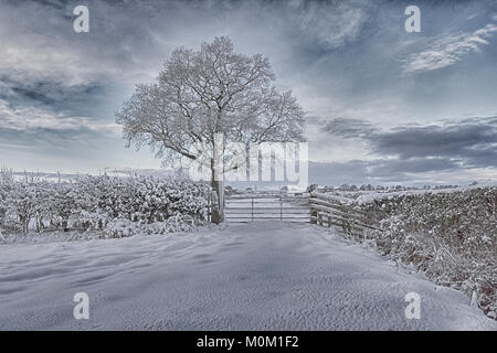 After a heavy snowfall in County Durham the fields and the surrounding countryside are covered in a heavy blanket of fresh snow. Stock Photo