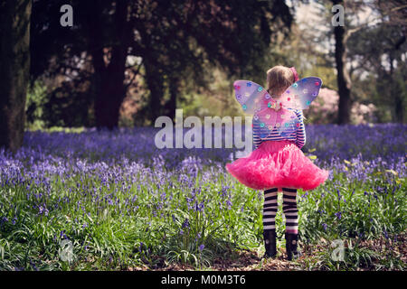 Girl in fairy dress and wings, looking at woodland bluebells Stock Photo