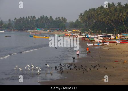 India,Goa,Coco beach,fishermen and his colorful boats early morning in the beach lined with coconut trees Stock Photo
