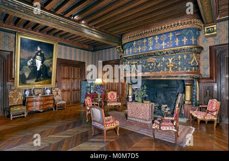 France,Cher,Jacques Coeur route,castle of Ainay le Vieil,the reception room with the fire-place decorated with heraldic symbols of Louis XII and Anne of Brittany and a portrait of general Auguste Colbert Stock Photo