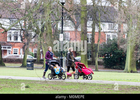 Abington park, Northampton. 23rd Jan, 2018. UK Weather. A couple of mothers walking with young children in pushchairs in the top park this morning on a dry but dull day. Credit: Keith J Smith./Alamy Live News Stock Photo