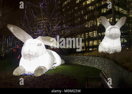 London, UK. 22nd January, 2018. Inflatable white rabbits called Intrude by Amanda Parker highlights Australia's out of control pests but also everyone's childhood fairy stories. They are on display at the Jubilee Park for the Canary Wharf Light Festival 2018. Credit: Fawcitt/Alamy Live News Stock Photo