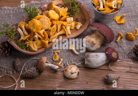 Wild fresh mushrooms on a rustic wooden table. Chanterelles, boletus, russula. Copyspace Stock Photo