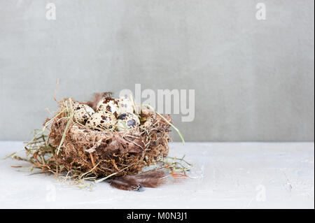 Small nest with eggs, feathers and straw on the textured table, background with copy space Stock Photo