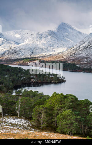 The mountain An Tudair above Loch Affric, Glen Affric, Scotland. The trees are Scots Pines. Stock Photo