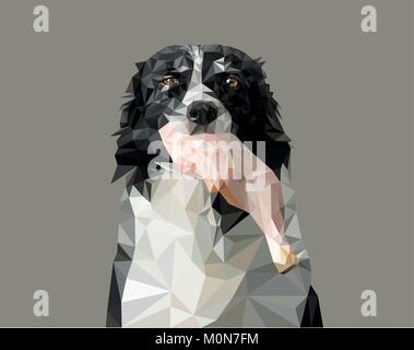 Low Poly Vector Illustration: Dog Holding Raw Meat. Black and White Border Collie Eating Raw Chicken Thigh. Picture with BARF Theme. Stock Vector