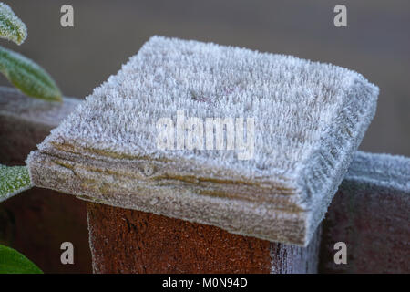 Frost crystals in the early morning at winter time growing on a wooden gate. Stock Photo