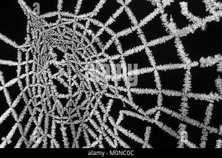 A spiders web covered in frost crystals on a freezing winters morning. Tipperary, Ireland. Stock Photo