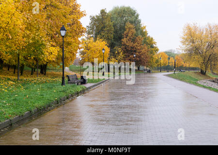 road through the park at rainy autumn morning. background, nature. Stock Photo