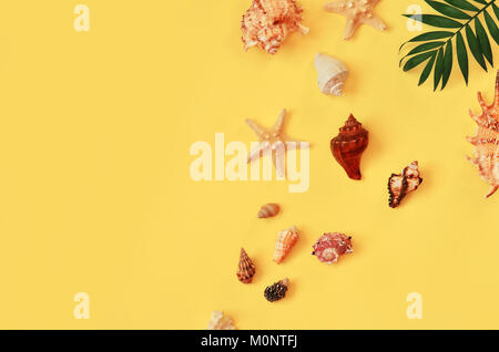 Tropical Background. Palm Trees Branches with starfish and seashell on yellow background. Travel. Copy space Stock Photo