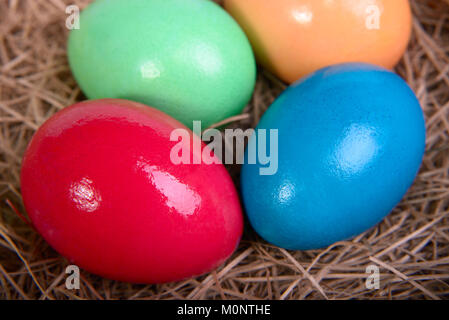 Multicolored Easter eggs on straw closeup Stock Photo