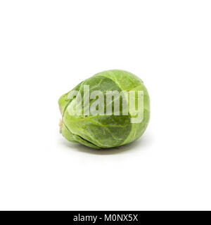 A Brussels Sprout isolated on a white background. Stock Photo