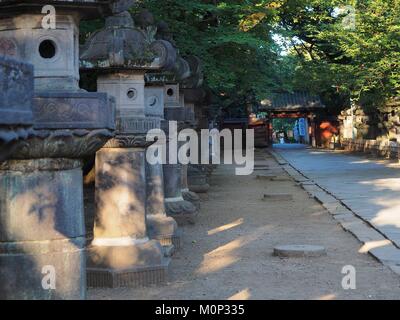 Japan,Tokyo,Ueno Park,Toshogu Shrine Stock Photo