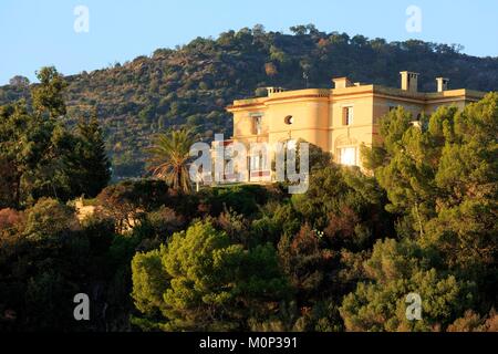 France,Var,Rayol Canadel sur Mer,Domaine du Rayol,Mediterranean garden,property of the Conservatoire du Littoral Stock Photo