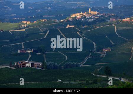 Italy,Piedmont,Cuneo Province,Les Langhe,Castiglione Falletto,vineyard Stock Photo