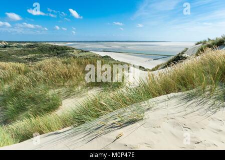 France,Pas de Calais,Berck sur Mer,the dunes of Authie Bay Stock Photo