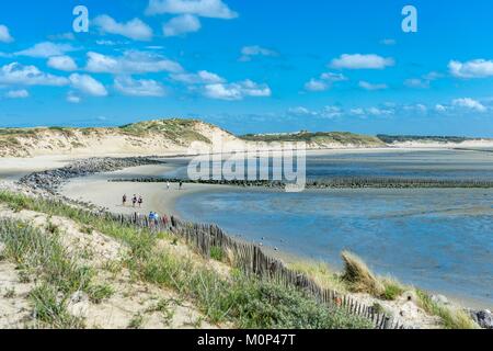 France,Pas de Calais,Berck sur Mer,hiking in the dunes of Authie Bay Stock Photo