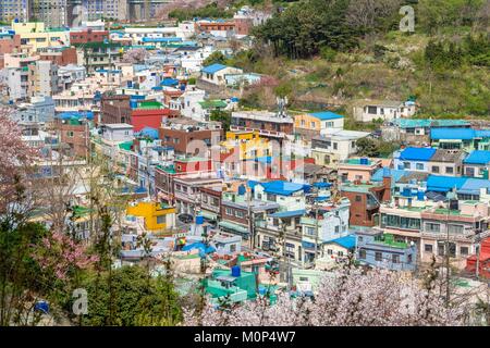 South Korea,South Gyeongsang province,Busan,Saha-gu district Stock Photo