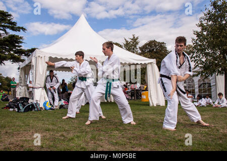 Outdoor Tae Kwon Do demonstration Stock Photo