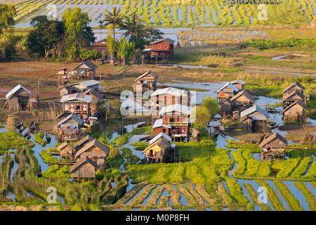 Myanmar,Shan State,Taunggyi District,Nyaung Shwe City,lacustrine habitat,floating gardens,floating tomato crops,boats,houses on stilts (aerial view) Stock Photo
