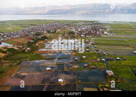Myanmar,Shan State,Taunggyi District,Nyaung Shwe City,lacustrine habitat,floating gardens,floating tomato crops,houses on stilts (aerial view) Stock Photo