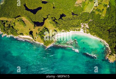 France,Caribbean,Lesser Antilles,Guadeloupe,Grande-Terre,Le Gosier,aerial view on the beach of Saint Félix,mangrove in the background (aerial view)