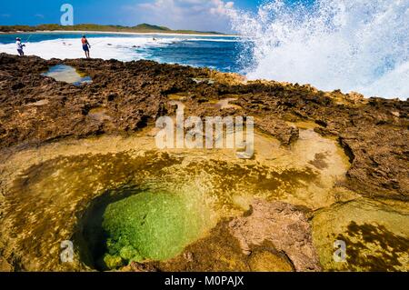 France,Caribbean,Lesser Antilles,Guadeloupe,Grande-Terre,Saint-François,two men fishing on the shredded coast of Pointe des Châteaux while a fish remained trapped in a rocky depression in the foreground Stock Photo