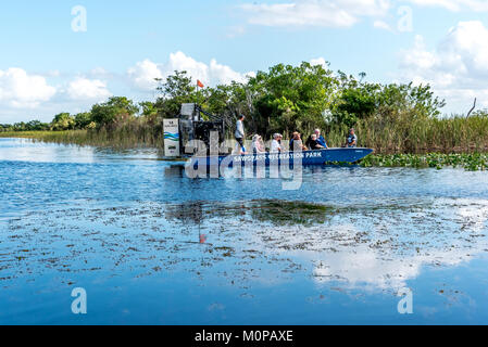 Tourists on airboat in Florida Everglades at Sawgrass Recreation Park, small airboat slowly glides beside grassy island with trees on Everglades tour Stock Photo
