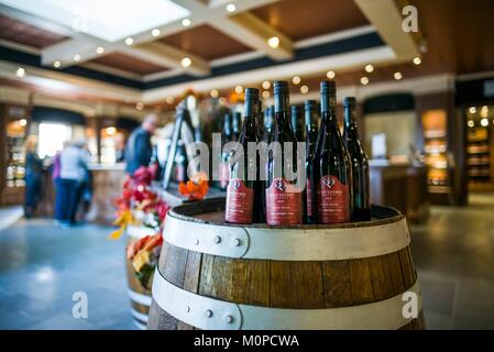 Canada,Ontario,Niagara on the Lake,Reif Estate Winery,interior Stock Photo