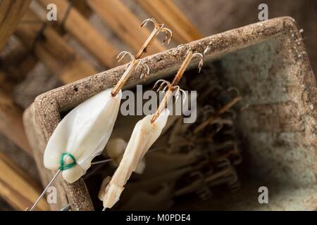 Philippines,Luzon,Albay Province,Tiwi,fish hooks