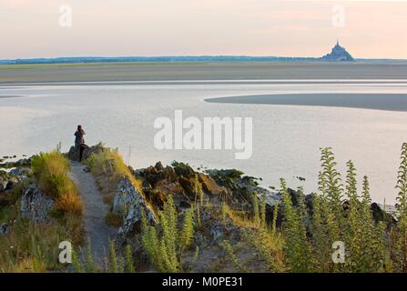 France,Manche,Bay of Mont Saint Michel listed as World Heritage by UNESCO,tip of the grouin Stock Photo