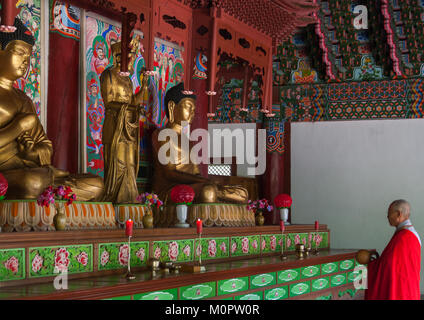 North Korean monk praying in Pohyon-sa Korean buddhist temple, North Pyongan Province, Myohyang-san, North Korea Stock Photo