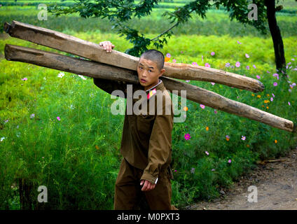 Young North Korean soldier carrying wood in the countryside, North Hwanghae Province, Kaesong, North Korea Stock Photo