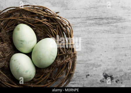 Three green colored chicken eggs in the natural nest on the grey shabby background, copy space, top view Stock Photo