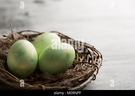 Three green colored chicken eggs in the natural nest on the grey shabby background, copy space Stock Photo